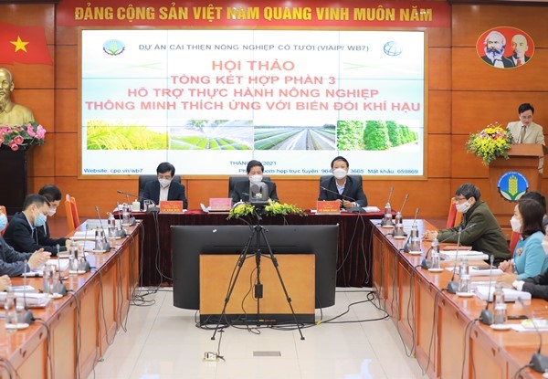 Hội thảo trực tuyến tổng kết hợp phần 3 Dự án WB7